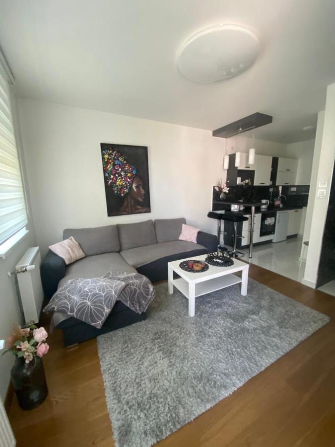 Apartment 212 ซูโบติกา ภายนอก รูปภาพ